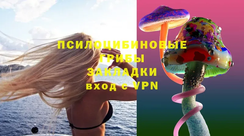 Галлюциногенные грибы Magic Shrooms  купить закладку  МЕГА ссылка  Бородино 